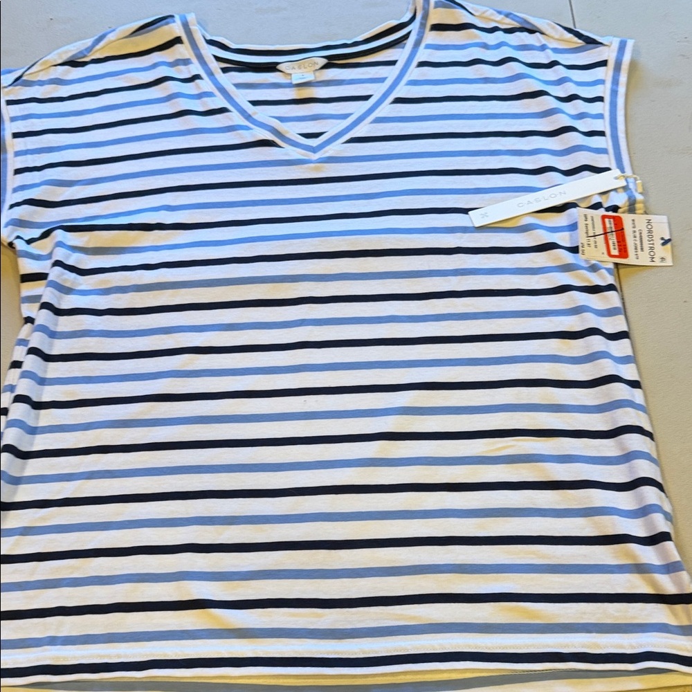 Caslon Striped V-Neck Tee in White and Navy